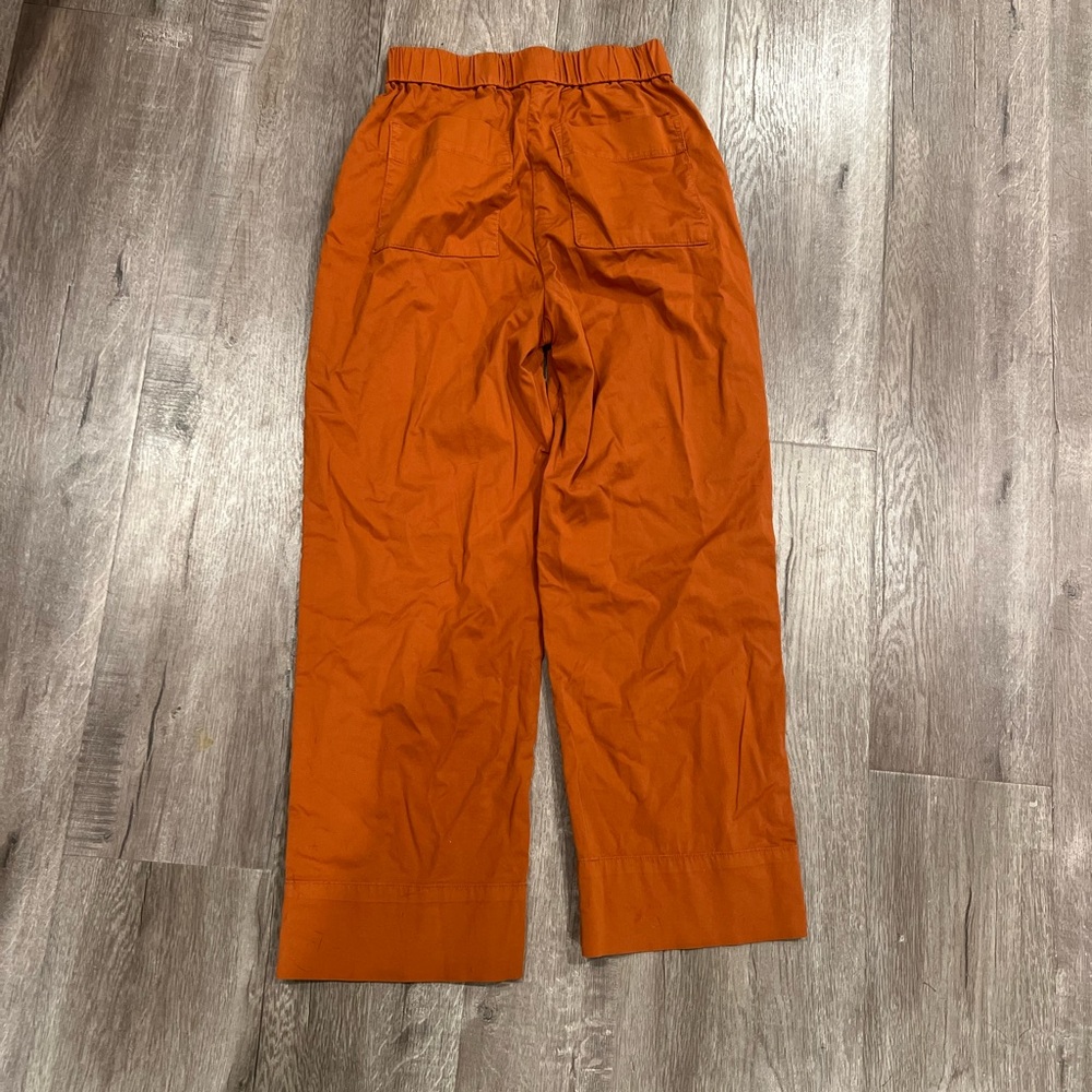 Everlane Wide Leg Elastic Waist Pants in Rust - Picture 4 of 6